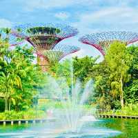 🇸🇬 Dragonfly bridge