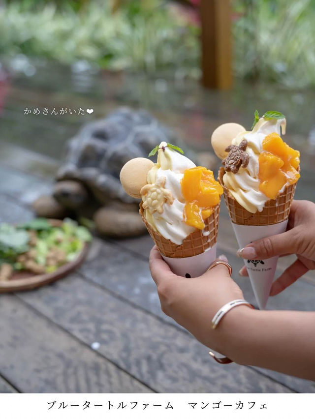 宮古島カフェまとめ