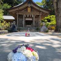 寶滿宮 竈門神社 六月有機會看到繡球花季