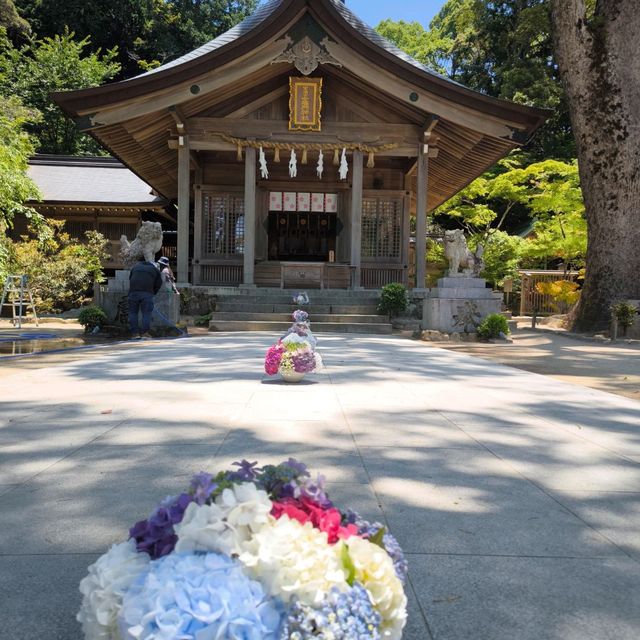 寶滿宮 竈門神社 六月有機會看到繡球花季