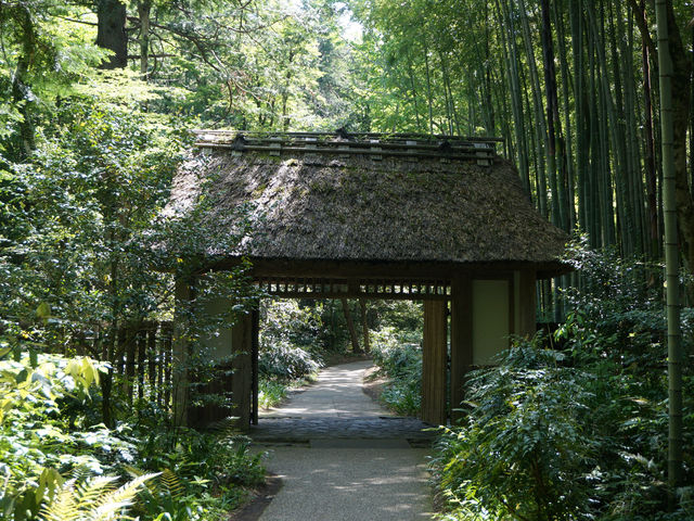 静岡御殿場・とらや工房の赤飯