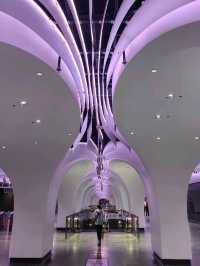 The most Outstanding Metro Station in Shanghai.