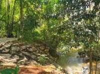 Assana Cafe At Khaoyai 