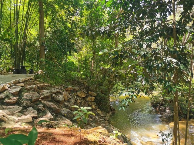 Assana Cafe At Khaoyai 