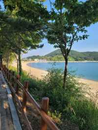 수영하기 좋은 고운모래 해변 구조라해수욕장🏖