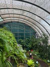 🇸🇬Do you know there’s a butterfly garden in Changi Airport?