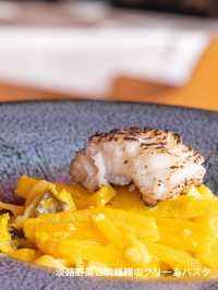 期間限定！5500円で食べれる映えるフルコース🌻絶対おすすめ🌻