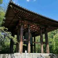 增上寺-600年歷史古寺與東京鐵塔相互輝映