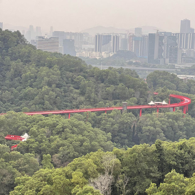 สะพานแดง ในป่าเมืองจีน深圳树林里的红色桥