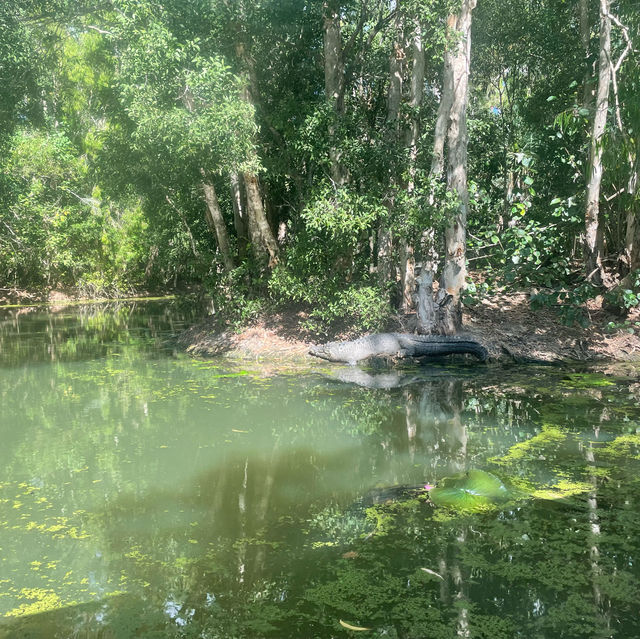 【Cairns🇦🇺②】動物好き必見動物園「ハートリーズ動物園」