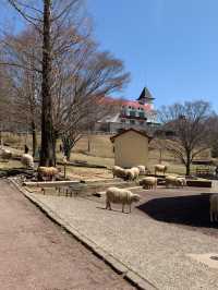 【兵庫/神戸】動物たちに癒される‼︎六甲山牧場🐏❤️