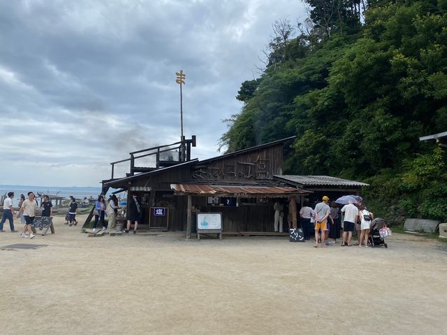 【糸島】またいちのしおぷりん