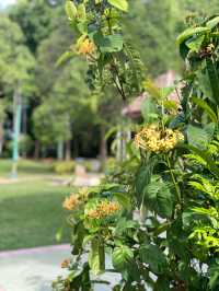 An floral garden worth to visit! 