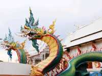 สักการะขอพรลอดพญาเต่า วัดหนองจับเต่า
