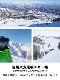 【長野】スキー場「白馬エリア」おすすめ 5選