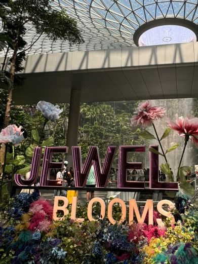 世界最大の室内滝！！JEWEL！空港直結の無料で見れる絶景スポット