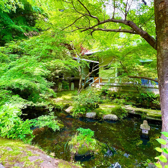 〜静岡県〜