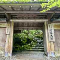 แค่อยากนั่งรถไฟเล่น🚞ชมธรรมชาตินอกเมือง Kyoto