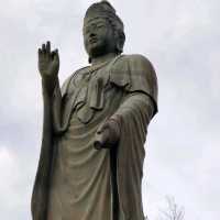 花之寺廟+杜鵑奇景