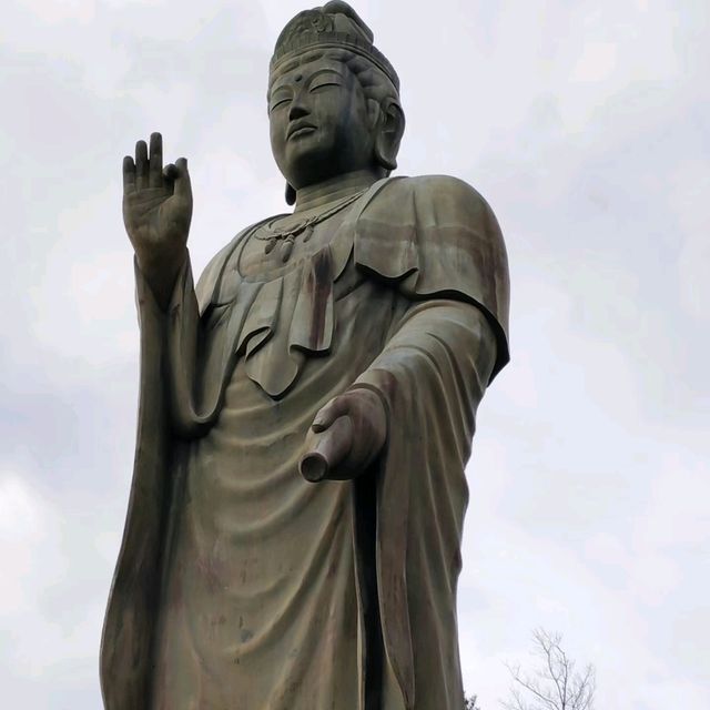 花之寺廟+杜鵑奇景
