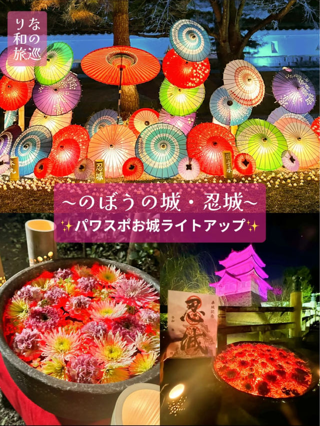 〜埼玉県〜MAP有り！忍城ライトアップ✨花手水WEEK2024