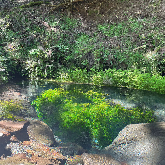 大分県由布市：男池湧水群