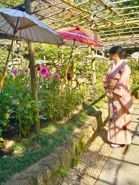 〜東京都〜穴場！秋のお花見スポット🍂上野ダリア展