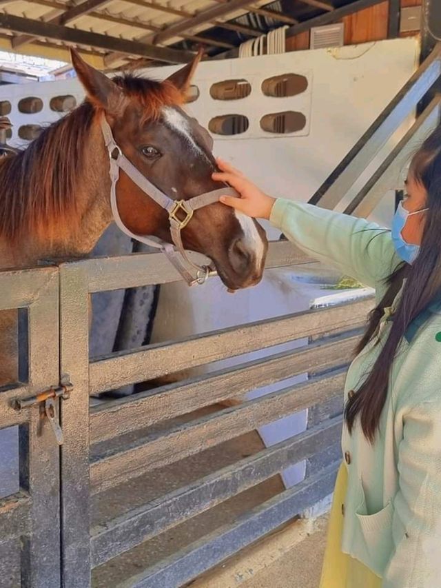 แลนด์มาร์คเขาใหญ่ Rancho Charnvee
