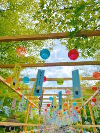 【群馬】夏のお出かけ先🎐風鈴まつりに行こう!!