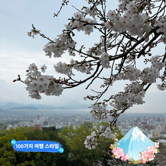 역시 일본은 벚꽃!