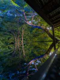 京都の舞妓、芸妓憧れの地『嵐山祐斎亭』日本の美と自然唯一無二の世界観アートを感じられます💫