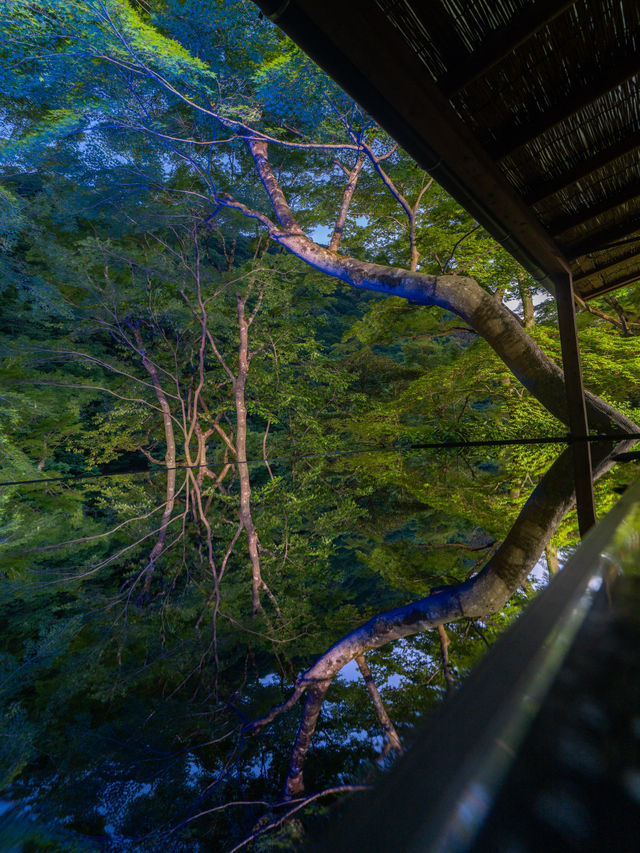 京都の舞妓、芸妓憧れの地『嵐山祐斎亭』日本の美と自然唯一無二の世界観アートを感じられます💫