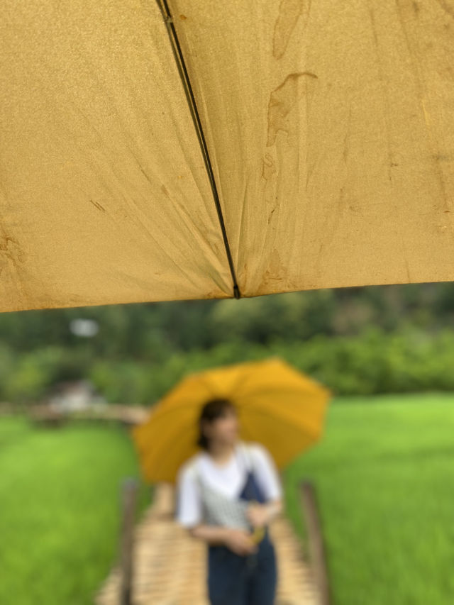 ฤดูฝนที่วัดนาคูหา | จ.แพร่ ⛰️🌳🌧️🌿