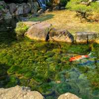 【彰化】成美文化園日式庭園，和諧寧靜，#8月好去處2024