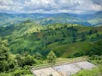 3 ลานกางเต๊นท์วิวหลักล้านที่น่าน🏕️สวยไหน-นอนนั่น 