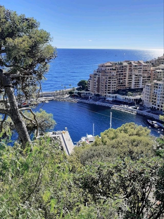 Another Jewel in Monaco