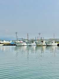 【秋田(にかほ市)】秋田県にかほ市の海で漁師体験