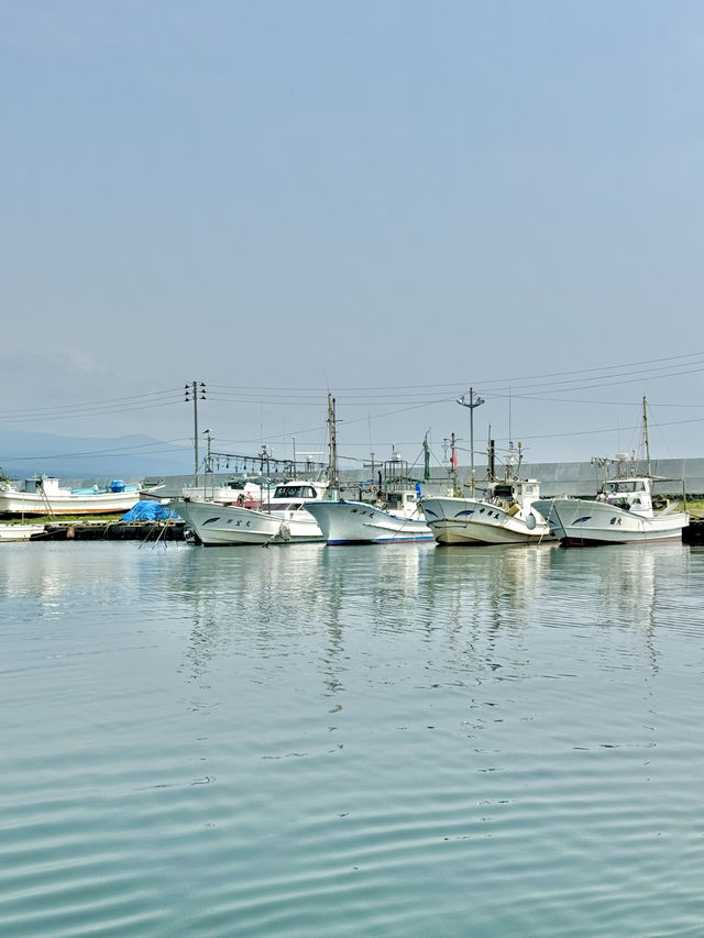 【秋田(にかほ市)】秋田県にかほ市の海で漁師体験