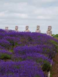 北海道好去處｜靈修必去巨型頭大佛石像