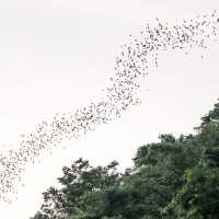 Bat Tales Cafe & Restaurant Khaoyai