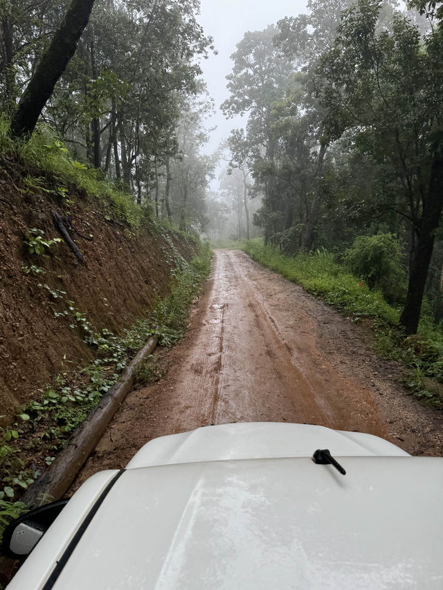 ห้วยกุ๊บกั๊บ | ฤดูฝน 🏡⛰️🌧️🌿