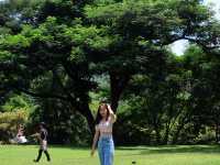 Mulberry Mellow คาเฟ่สุดชิวท่ามกลางต้นไม้สีเขียว🌳