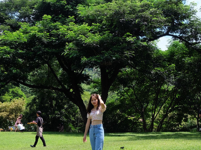 Mulberry Mellow คาเฟ่สุดชิวท่ามกลางต้นไม้สีเขียว🌳