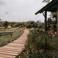 โอบบ์ farm&cafe คาเฟ่ลับท่ามกลางธรรมชาติ จ.ระยอง