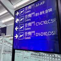 飛行機の旅✈️何回乗ってもワクワク