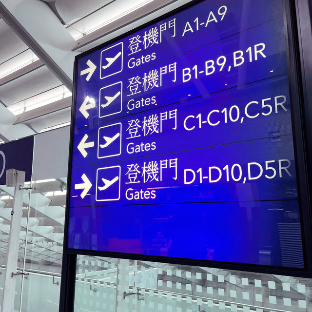 飛行機の旅✈️何回乗ってもワクワク