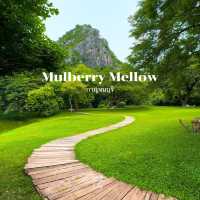 คาเฟ่บรรยากาศร่มรื่นเขียวสบายตา กาญจนบุรี