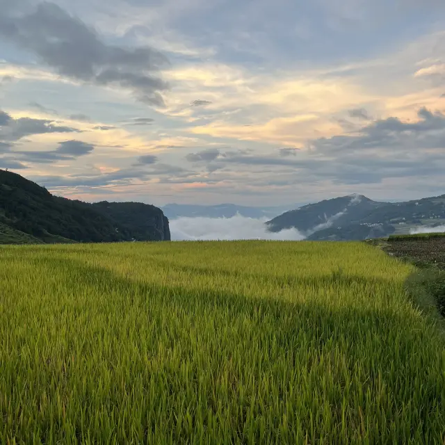 Yuanyang Rice Terrace