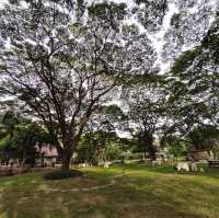 🌳The Harmony Resort