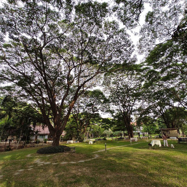 🌳The Harmony Resort